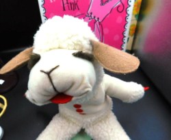 lambchops a